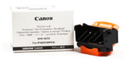 CANPRI31R