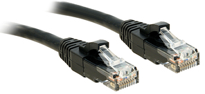 LINNET13M