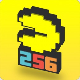 NAMSFT048