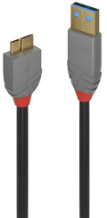 LINNET38F