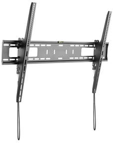 STAMON558