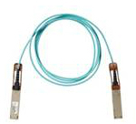 CISNET4NH